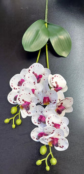 Fir Orhidee Artificială Real Touch Alb cu Puncte Vișinii